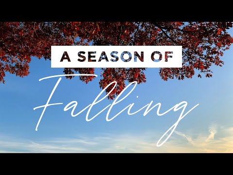 A Season of Falling 🍂 | A Visual Poem