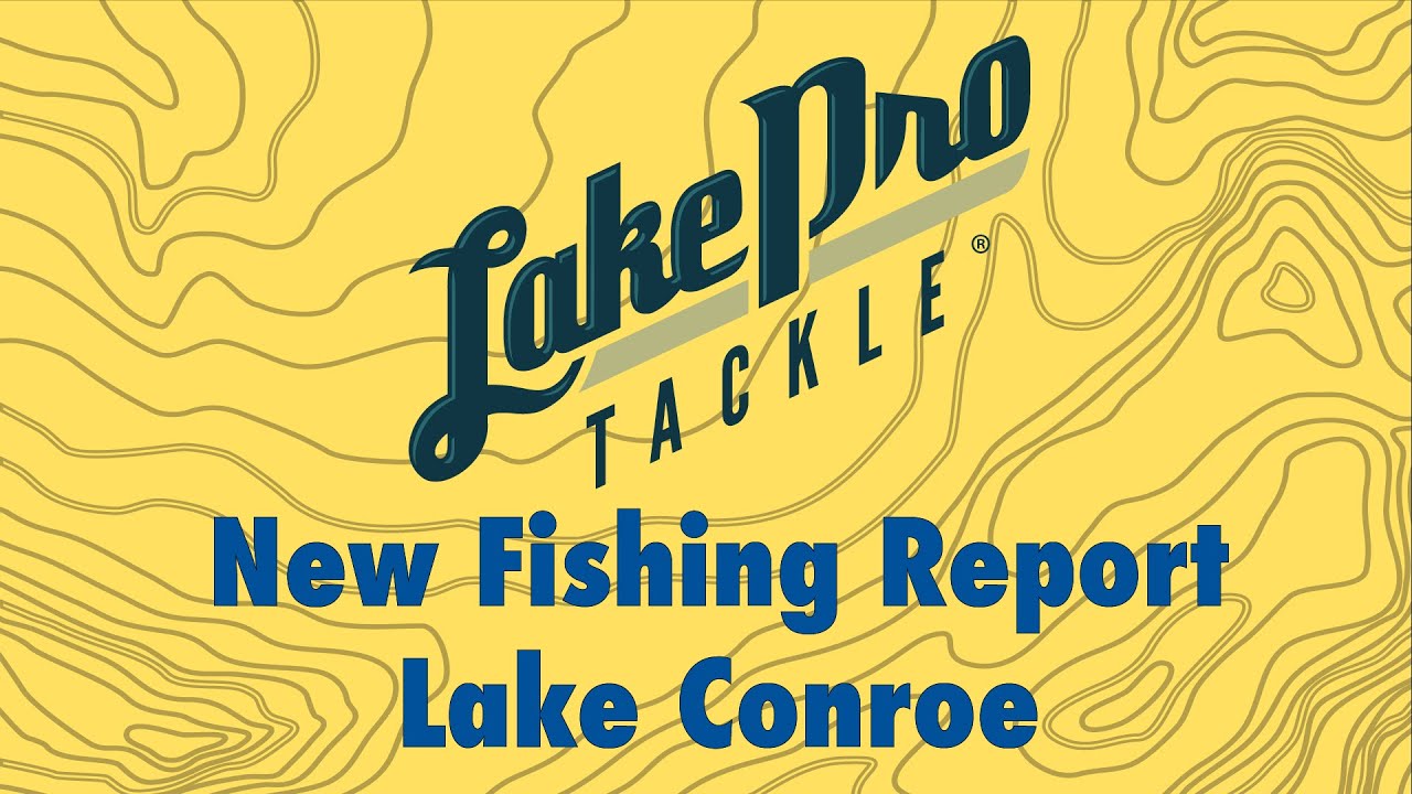 Lake Conroe Fishing Report (3/1/24) YouTube