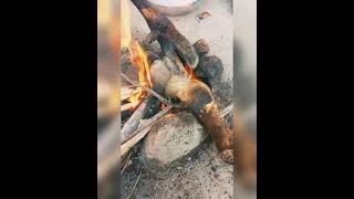 Desi Food Village Life