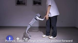 5. Managing Posture and Motion Controls via the Go2 Mobile Application