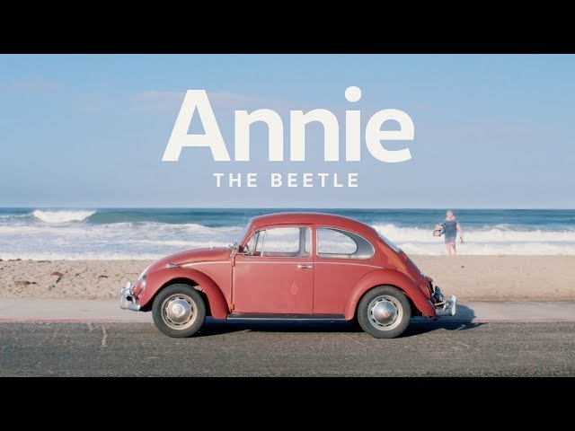 Annie the Beetle  Owner Spotlight 