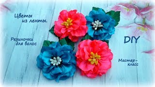🌺 Цветы из лент 🌺 Резиночки для волос 🌺 Канзаши 🌺 DIY 🌺 Hand мade 🌺 Kanzashi 🌺 🌺 Цветы из лент 🌺 Резиночки для волос 🌺 Канзаши 🌺 DIY 🌺 Hand мade 🌺 Kanzashi 🌺
