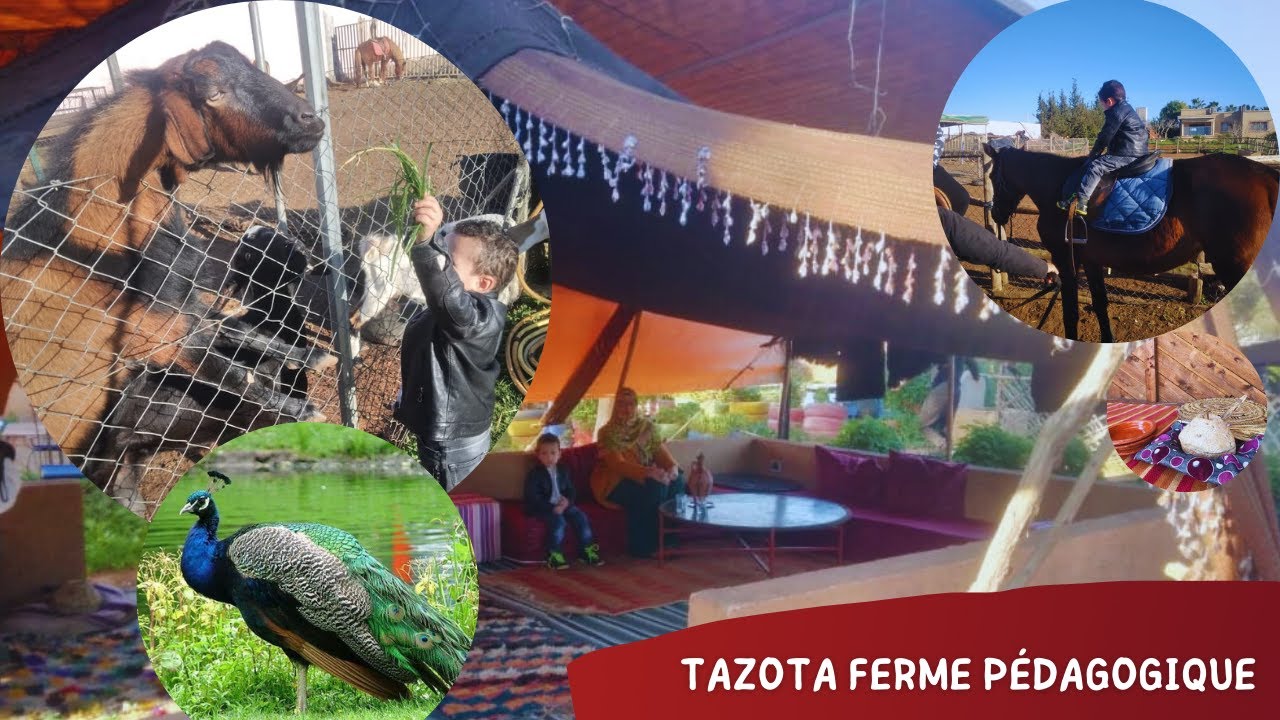 جولة  مع سليمان دوزنا نهار زوين في Tazota Ferme Pédagogique