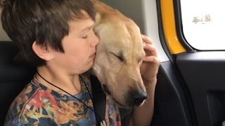 Boy's dog killed by US government cyanide trap