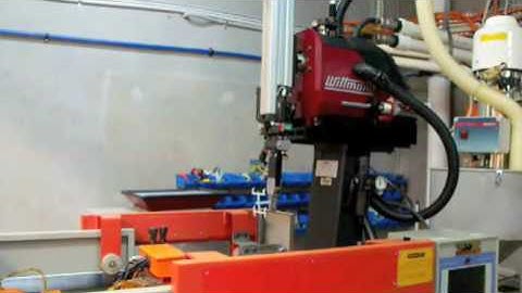Wittmann sprue picker robot