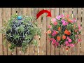 Creative Hanging Garden | Beautiful Flower Garden Ideas For The Garden
