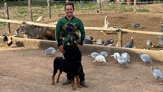 Ele Mora No Alto Da Serra Com Muitos Animais Em Um Pequeno Sítio Autossuficiente, Produzem De Tudo.