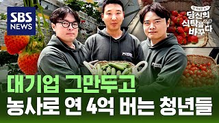 MZ도 홀딱 반해버린 돈 되는 농사법...똑똑한 농사 '스마트팜'의 비밀 | SBS 특별기획