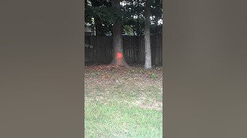 GoG Enmey after trigger screw mod