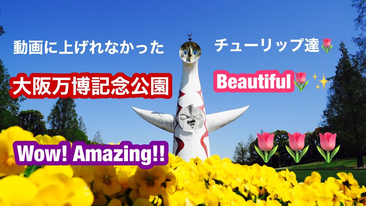 大阪万博記念公園 動画にあげれなかったチューリップ達を大公開 Olympus Om D E M5 Mark Iii Blog Youtube