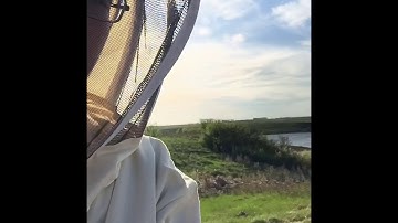 First time installing package bees