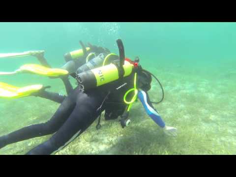 Scuba-diving Greece 2015