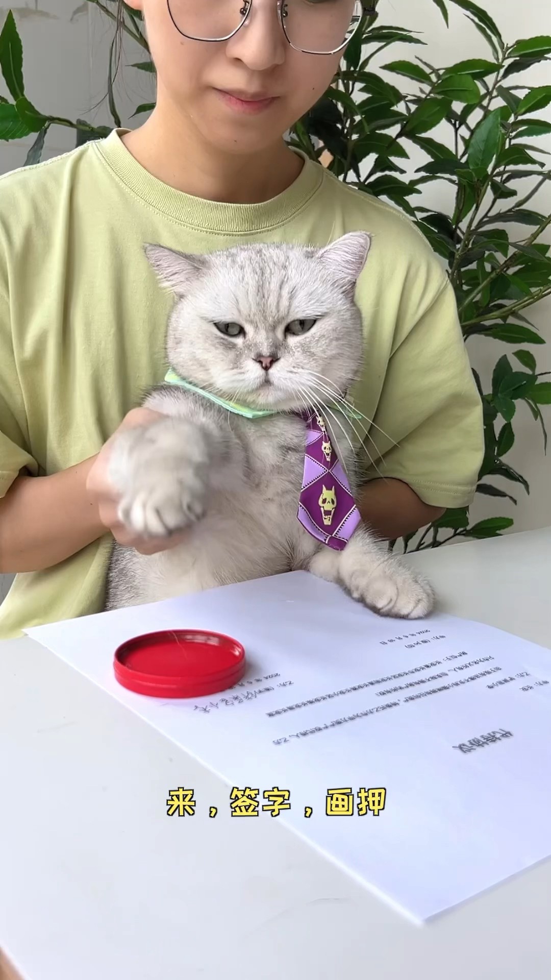 Wow!✨ Chef Cat Finally Has His Own House?? | Chef Cat Daily Life #tiktok #shorts