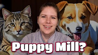 Vet's Tips: How to Spot a Good Breeder and Say No to Puppy Mills (Part 1)