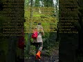 Das Leben als Bergbesteigung: Herausforderungen und Erfolge