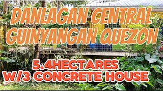 V#97  5.4hectares farmlot with concrete house along brgy road guinyangan quezon 4.5M only negotiable