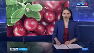 Ягоды Карелии Репортаж \ Ягоды Карелии Репортаж \