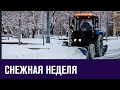 Снегопад до конца недели - Прогноз погоды на Москва FM
