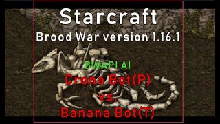 Starcraft: BWAPI AI Crona Bot(P) vs. BananaBrain Bot(T)