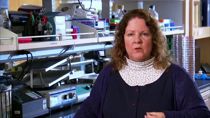 Barbara A. Driscoll, PhD 78 (BA) - University of S...