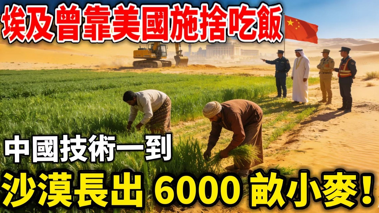 中國沒送一粒米，卻讓埃及沙漠長出6000畝小麥！西方直接看懵