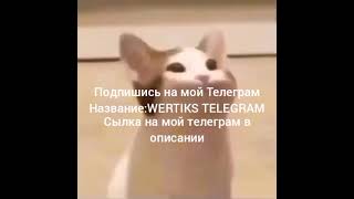 Подпишитесь на мой телеграм