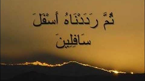 سورة التين للقارئ الشيخ فارس عباد