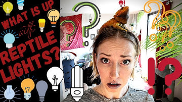Reptile lightbulbs EXPLAINED!! All about HEATBULBS