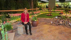 Northwest Flower & Garden Show - Seattle