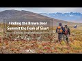 Finding Himalayan Brown Bear in Deosai | Peak of Giant | Sheosar Lake | Deosai | Land of the Giants