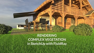Rendering Complex Vegetation in SketchUp with FluidRay