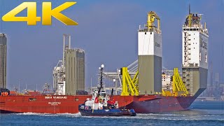 8 HOURS RELAXING MARINE TRAFFIC AT PORT OF ROTTERDAM NETHERLANDS - 4K SHIPSPOTTING 2023 PART 1/2 by Airliners & Ships Channel 52,984 views 2 months ago 8 hours, 1 minute