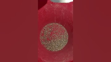 rice color sorter colour sorting machine in china