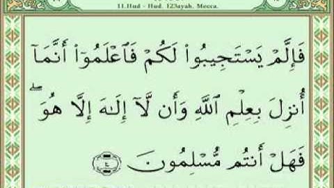 سورة هود 6-33