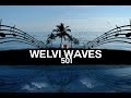 Welvi Waves - Gimme Luuv (new single 2014) [Audio Official]