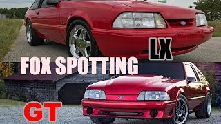 How to tell the difference between a foxbody Mustang....