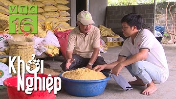 Giá cám tăng chóng mặt, nông hộ tự chế thức ăn cho gà | Khởi nghiệp | VTC16