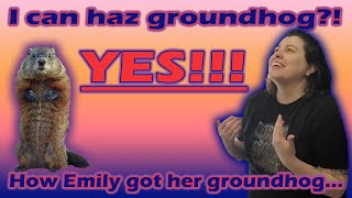 ✨Emily gets a GROUNDHOG✨