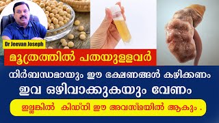 ഈ രീതിയിൽ പത കാണുന്നുണ്ടോ ഈ ഭക്ഷണങ്ങൾ കഴിക്കണം ,ഇവ ഒഴിവാക്കുകയും വേണം ഇല്ലങ്കിൽ  കിഡ്‌നി നശിക്കും