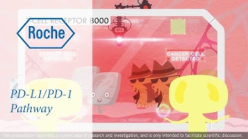 PD-L1/PD-1 pathway: a security checkpoint