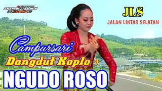 NGUDO ROSO DANGDUT KOPLO || CAMPURSARI TERPOPULER 2024