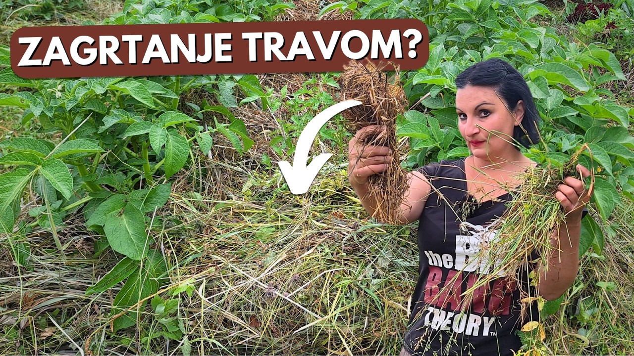 Какие культуры мы ДОЛЖНЫ принять?