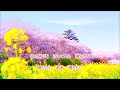 【新曲】「ふるさとに帰りたい」Nobby cover 文夫(聖風)2026年6月3日発売