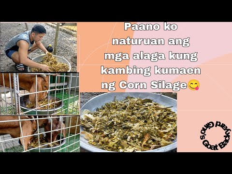 Video: Mga Simpleng Paraan upang Makapagpakain Sa Mga Braids sa Iyong Sarili (na may Mga Larawan)