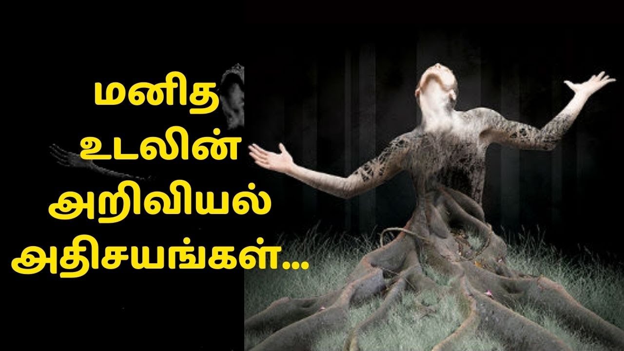 மனித உடலின் அறிவியல் அதிசயங்கள் | Scientific wonders of the human body |Voice Over Video |Tamil Mojo