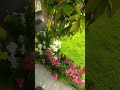 Beautiful Lawn Grass and Flowers Decoration #garden #flowergarden