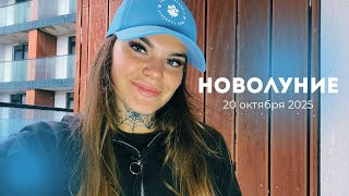 видео: ТАРО-ПРОГНОЗ на НОВОЛУНИЕ для ВСЕХ ЗНАКОВ от ASYA TAROLOGINYA картинка: ТАРО-ПРОГНОЗ на НОВОЛУНИЕ для ВСЕХ ЗНАКОВ от ASYA TAROLOGINYA