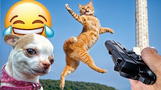 Funny ANIMALS videos Funniest Cats and Dogs 2024 #18