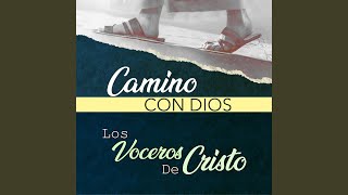 Video thumbnail of "Los Voceros de Cristo - Camino Con Dios"