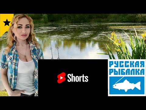Видео: Отдыхаем на рыбалочке).Стрим с вебкой! Shorts РР4 стрим.